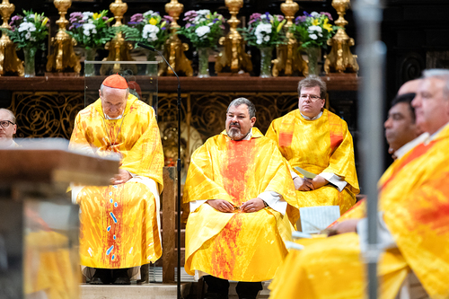 Priesterjubiläen / Erzdiözese Wien/ Schönlaub