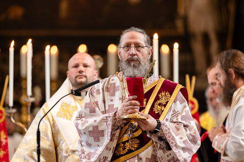 Priesterweihe Byzantinischer Ritus im Stephansdom / Erzdiözese Wien/ Schönlaub