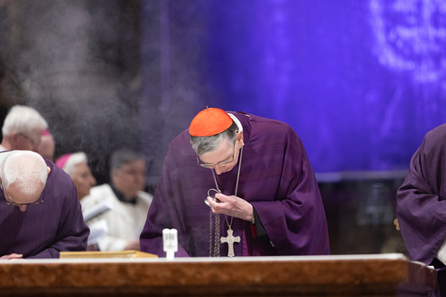 Erzdiözese Wien/ Schönlaub, Stephan Schönlaub