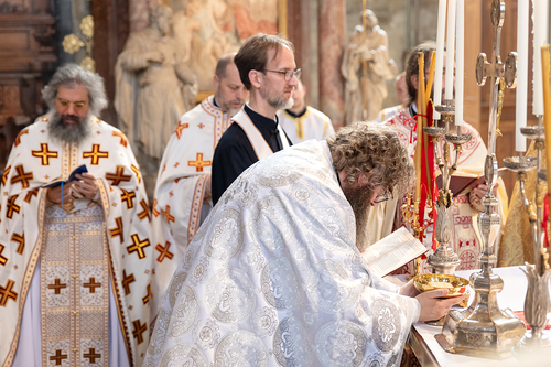 Priesterweihe Byzantinischer Ritus im Stephansdom / Erzdiözese Wien/ Schönlaub