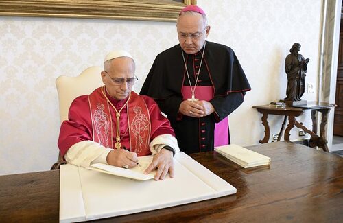 vatican media