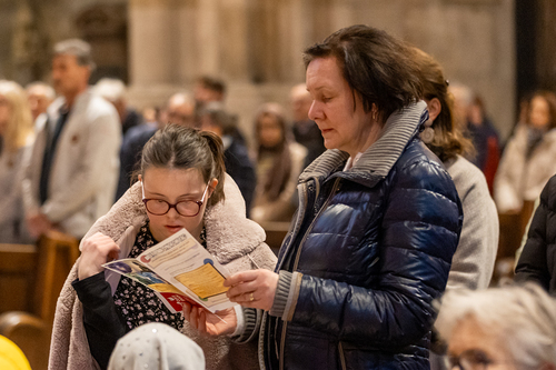 WDST 2024 im Stephansdom / Erzdiözese Wien/Schönlaub